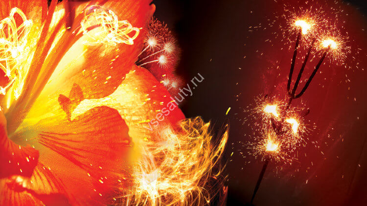 Бенгальские свечи Огненный цветок (1 шт)